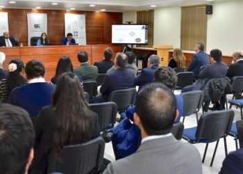 Corte de Coyhaique desarrolló conversatorio sobre Responsabilidad Civil