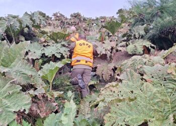 Carabineros del GOPE Aysén se suma a operativo de búsqueda y rastreo de tripulante desaparecido en Melinka