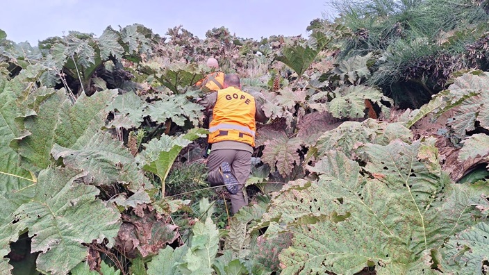 Carabineros del GOPE Aysén se suma a operativo de búsqueda y rastreo de tripulante desaparecido en Melinka
