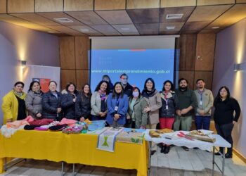 Presentan Portal de Emprendimiento que agrupa oferta del Estado en un sitio web