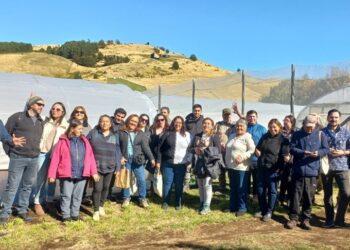 Tecnología e innovación para el campo: INACAP y Corfo impulsan transformación hortícola en Aysén