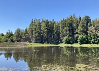 CONAF Aysén invita a la comunidad a visitar las reservas nacionales Coyhaique y Río Simpson