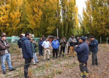 Chile Chico fortalece desarrollo vitivinícola con Día de Campo organizado por INIA Tamel Aike