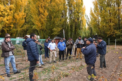 Chile Chico fortalece desarrollo vitivinícola con Día de Campo organizado por INIA Tamel Aike