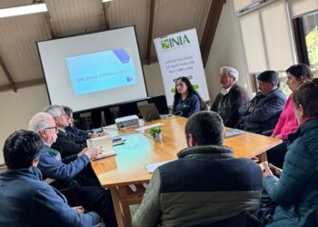 Taller de manejos preventivos invernales: Seremi de Agricultura impulsa coordinación con dirigentes rurales de Coyhaique