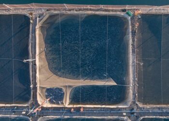 Sobreproducción salmonera en la  Patagonia: $200 millones en ganancias podrían quedar sin sanción