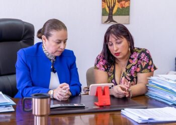 CONCEJALA DE CISNES Y SENADORA ORDENES SE REÚNEN CON MINISTRO DE ENERGÍA