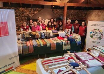 Agrupación Manos Amigas adquirió lavadora industrial y se capacitó en telar huilliche con apoyo del FOSIS