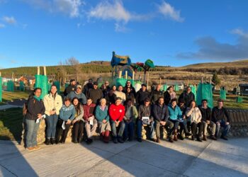 Trabajo conjunto entre vecinos, Municipio, GORE y Energía logra electrificación rural histórica