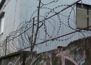 Ciudadanía: El miedo es un arte natural de la política chilena