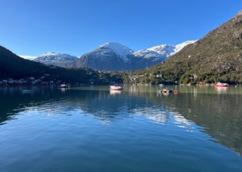 $143 millones recaudan comunas rurales de Aysén gracias al programa “Saca tu Permiso Rural 2025”