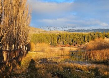 MÁS DE 400 METROS DEL CAUCE DEL RÍO COCHRANE SERÁN RECUPERADOS PARA USO DE LAS Y LOS VECINOS DE COCHRANE