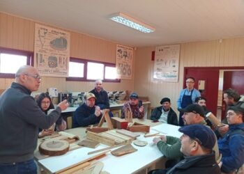 Innovación y economía circular: Aysén busca modernizar su cadena de la madera con gira tecnológica del PDT de Corfo en Valdivia