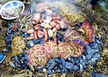 Más que empanadas y anticuchos: La alternativa culinaria que ofrece la Ruta de los Parques de la Patagonia