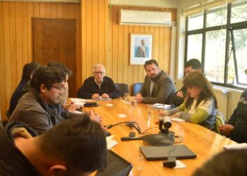 Llaman a tomar medidas preventivas de seguridad vial ante próximo fin de semana largo y proximidad de temporada estival