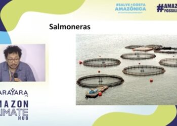 Transición energética injusta, monocultivos exóticos y salmonicultura que destruye biodiversidad: Las “falsas soluciones” a la crisis climática expuestas en la COP30
