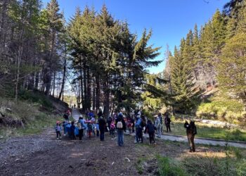 Párvulos conmemoran Día de las Áreas Protegidas con jornada de educación ambiental al aire libre.