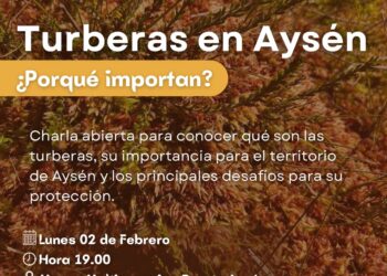 Con charla “Turberas en Aysén: ¿Por qué importan?” conmemorarán Día Mundial de los Humedales