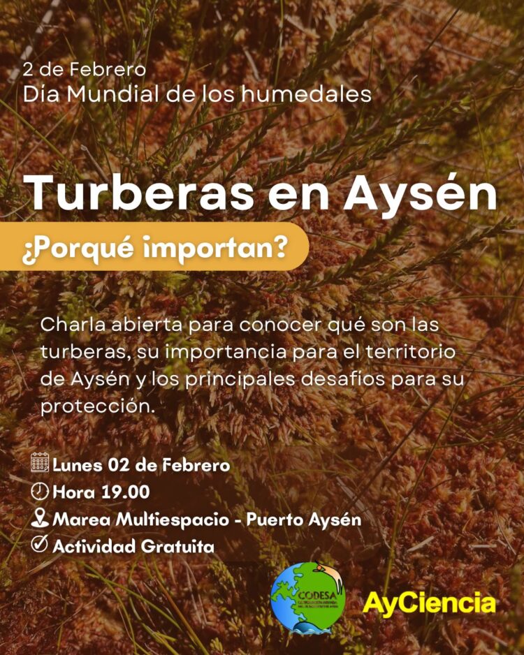 Con charla “Turberas en Aysén: ¿Por qué importan?” conmemorarán Día Mundial de los Humedales