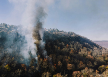 Región de Aysén en Alerta Temprana Preventiva por alto riesgo de incendios forestales