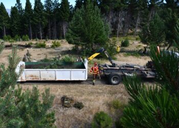 CONAF y organismos públicos refuerzan acciones preventivas contra incendios forestales en el sector El Húngaro de Cochrane