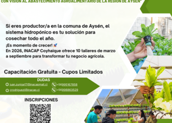 INACAP Coyhaique invita a productores de la comuna de Aysén a capacitarse gratuitamente en sistemas hidropónicos durante 2026