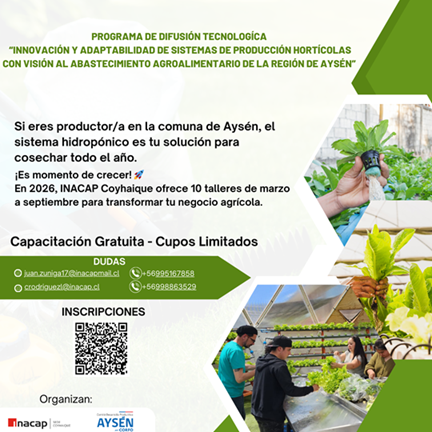 INACAP Coyhaique invita a productores de la comuna de Aysén a capacitarse gratuitamente en sistemas hidropónicos durante 2026