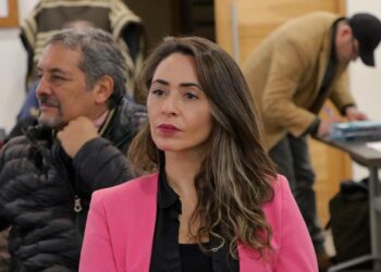 LUZ MARÍA VICUÑA (RN) ENCABEZARÁ LA DELEGACIÓN PRESIDENCIAL DE AYSÉN