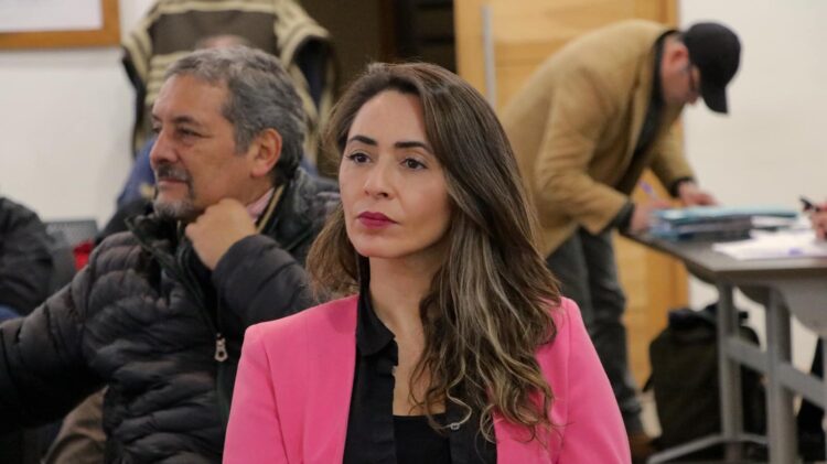 LUZ MARÍA VICUÑA (RN) ENCABEZARÁ LA DELEGACIÓN PRESIDENCIAL DE AYSÉN