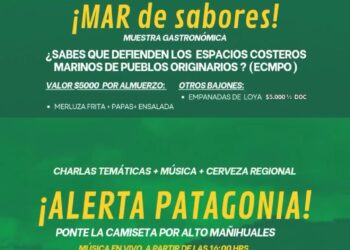 Este sábado se desarrollará “Festival por la Tierra y el Mar” con foco en los principales conflictos socioambientales de Aysén