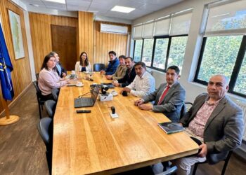 Delegada presidencial se reúne con los alcaldes de la región para coordinar trabajo en beneficio de sus comunidades