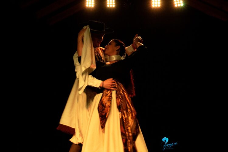 La comunidad celebró el Día Internacional de la Danza junto a Zingara y Teatro Austral