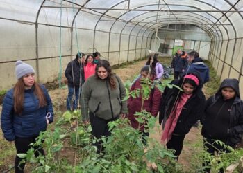 REALIZAN TALLER DE CULTIVO BAJO INVERNADERO EN CET VALLE VERDE