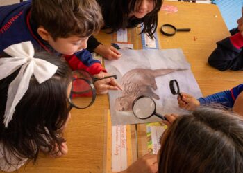 Ciencia en el aula: docentes de Aysén desarrollan proyectos junto a sus estudiantes para fortalecer el pensamiento científico