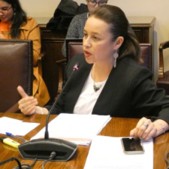 tehuelche noticias: Senadora Ximena &Oacute;rdenes Pide que Descarbonizaci&oacute;n se Concrete el 2030 e Incluya Nueva Matriz Energ&eacute;tica para la Regi&oacute;n de Ays&eacute;n