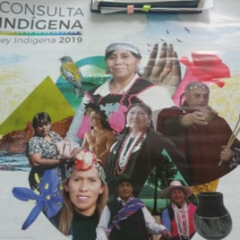 tehuelche noticias: &ldquo;La Consulta Ind&iacute;gena busca la muerte de nuestra cultura y pueblo, borrar la historia del pueblo naci&oacute;n mapuche&rdquo;