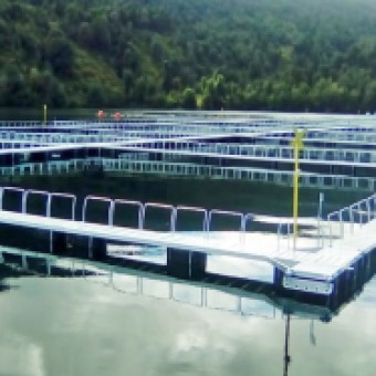 tehuelche noticias: Dirigente de Puerto Chacabuco acusa a Honorino Angulo de confundir proyectos y resalta labor del diputado Calisto en los temas de pesca