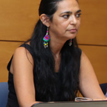 tehuelche noticias: La Semana Pol&iacute;tica: acad&eacute;mica de la U. de Chile y analista pol&iacute;tico mapuche emplazan al Gobierno a abortar la consulta ind&iacute;gena por &ldquo;inconstitucional&rdquo;