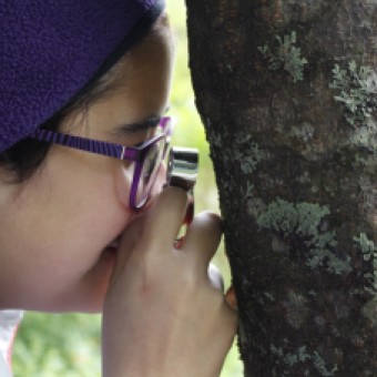 tehuelche noticias: Los  Microbosques  como relato de un turismo &uacute;nico en el mundo