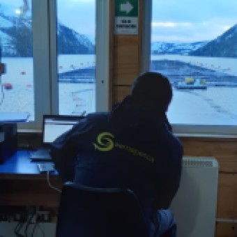 tehuelche noticias: Sernapesca interpone tres denuncias contra Nova Austral ante Tribunales, Fiscal&iacute;a y Superintendencia de Medio Ambiente