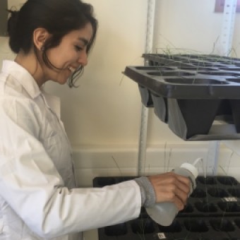tehuelche noticias: Proyecto de Biorremediaci&oacute;n avanza en la etapa final de la investigaci&oacute;n