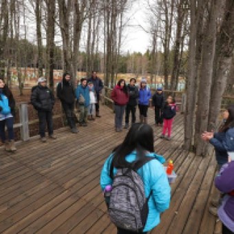 tehuelche noticias: A&Uacute;N QUEDAN CUPOS PARA LA ESCUELA DE INVIERNO EN EL CENTRO CULTURAL MUNICPAL DE COYHAIQUE