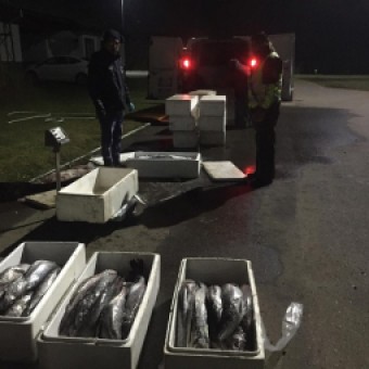 tehuelche noticias: Pesca ilegal: Sernapesca y Carabineros incautan casi 7 toneladas de recursos pesqueros bajo talla y sin acreditaci&oacute;n de origen legal en cuatro regiones del pa&iacute;s