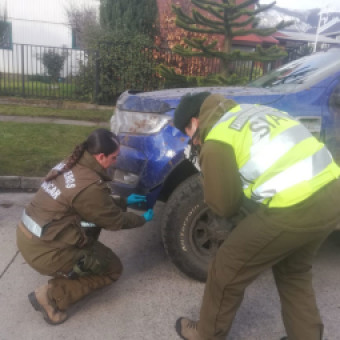 tehuelche noticias: Conductor Confeso de atropellar a joven en Puerto Ays&eacute;n qued&oacute; libre tras pago de fianza