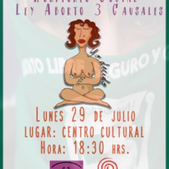 tehuelche noticias: Colectivo de Mujeres Desnudando: &ldquo;No existe voluntad pol&iacute;tica para implementar en propiedad la Ley de Aborto en tres causales&rdquo;
