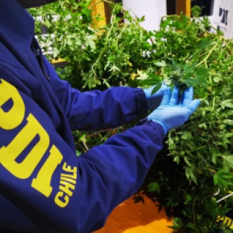 tehuelche noticias: Municiones y Drogas fueron incautadas por Investigaciones a Sujeto con Amplio Prontuario Delictual