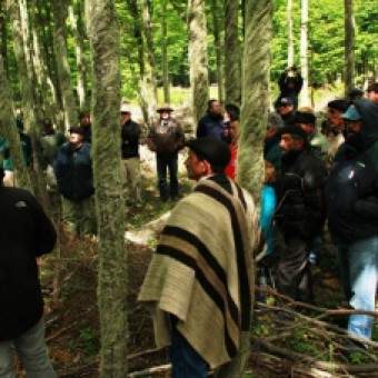 tehuelche noticias: FAMILIAS CAMPESINAS REALIZAR&Aacute;N MANEJO SOSTENIBLEDEL BOSQUE NATIVO
