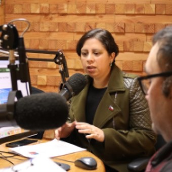 tehuelche noticias: Seremi del Trabajo invita a conocer nueva  plataforma &ldquo;Mi DT&rdquo;