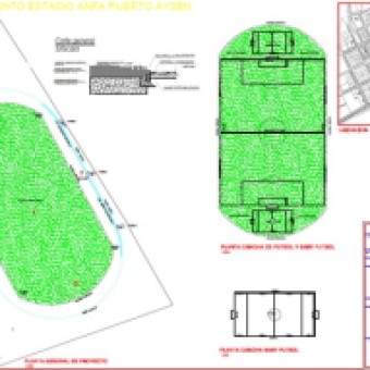 tehuelche noticias: COMUNIDAD Y DEPORTISTAS DE PUERTO AYS&Eacute;N CONTAR&Aacute;N CON CANCHA DE PASTO SINT&Eacute;TICO EN SU ESTADIO ANFA
