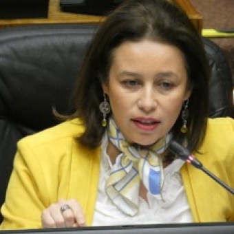 tehuelche noticias: SENADORA ORDENES: DEMORA EN SEGUNDO TRANSBORDADOR PARA CHILE CHICO SE DEBE A DESCOORDINACION DEL GOBIERNO